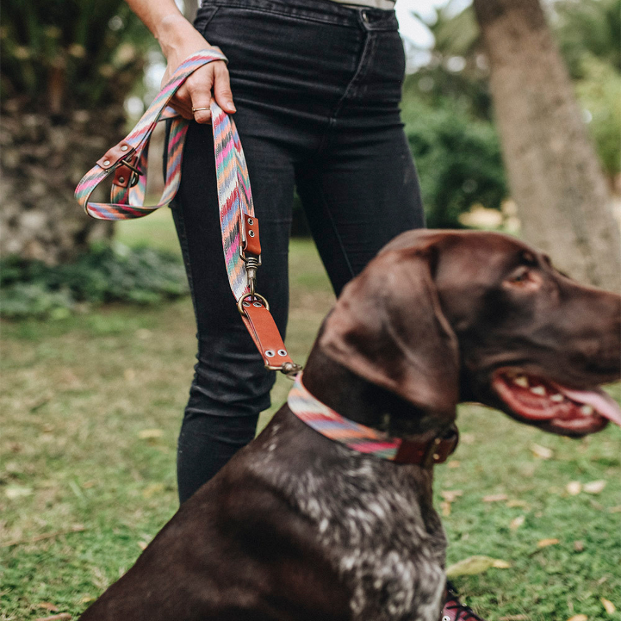 Ladran Gaucho Correa Zoe hecho a mano para perros, , large Imagen numero 3